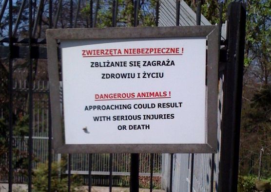 A w zoo…